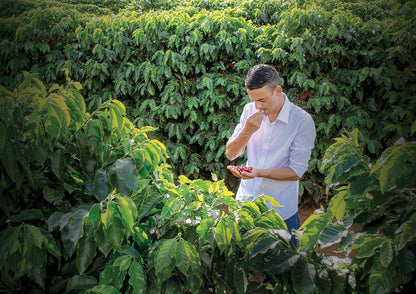 THE TATTOOED TEAR • Brazil
